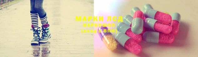 ГАЛЛЮЦИНОГЕННЫЕ ГРИБЫ Елизово