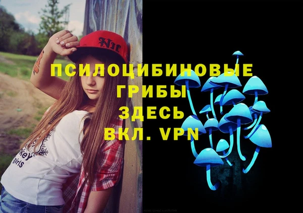 ГАЛЛЮЦИНОГЕННЫЕ ГРИБЫ Елизово