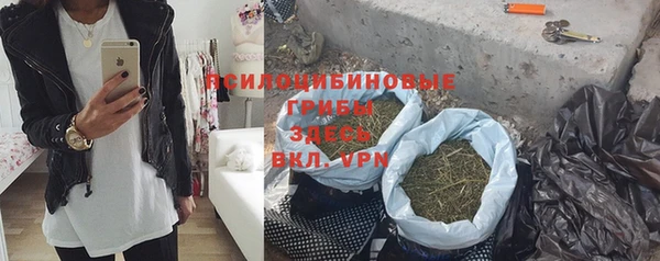 mix Ельня