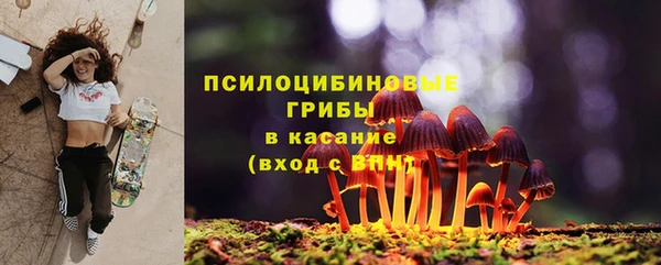 ГАЛЛЮЦИНОГЕННЫЕ ГРИБЫ Елизово