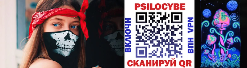 Галлюциногенные грибы мицелий  цена   Камызяк 
